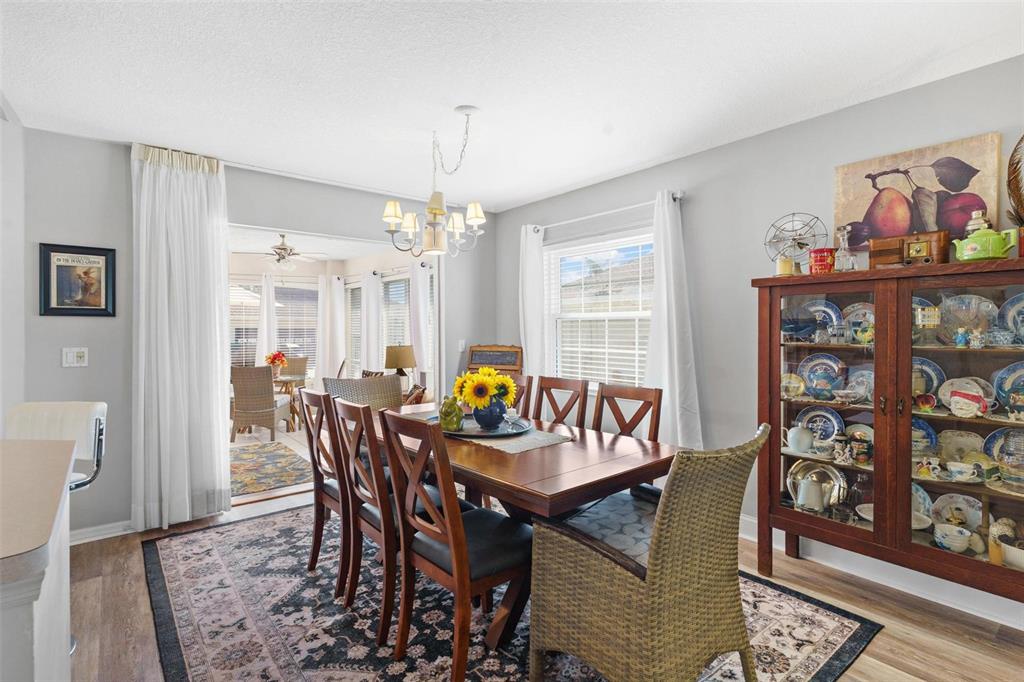 A dining room features a wooden table, wicker chairs, a china cabinet, and a rug — 17209 SE 115TH TERRACE ROAD, SUMMERFIELD, FL