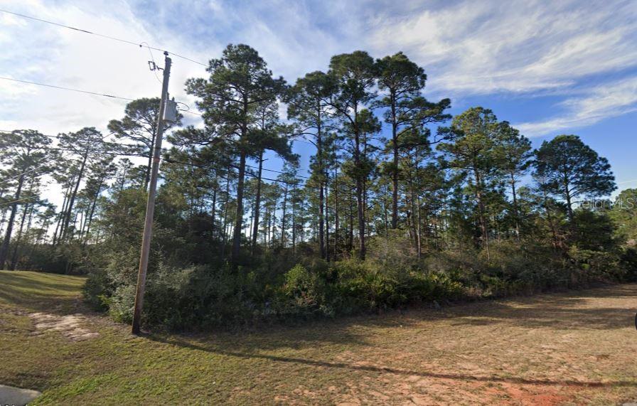 A wooded lot with tall pine trees and a utility pole in the foreground — 2249 WINFIELD DRIVE, NAVARRE, FL