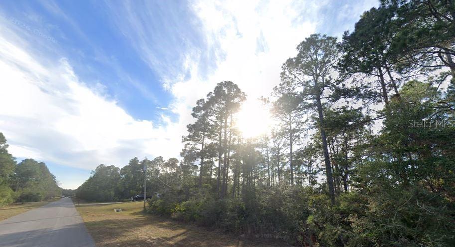 A paved road runs alongside a wooded lot with tall pine trees under a sunny sky — 2249 WINFIELD DRIVE, NAVARRE, FL