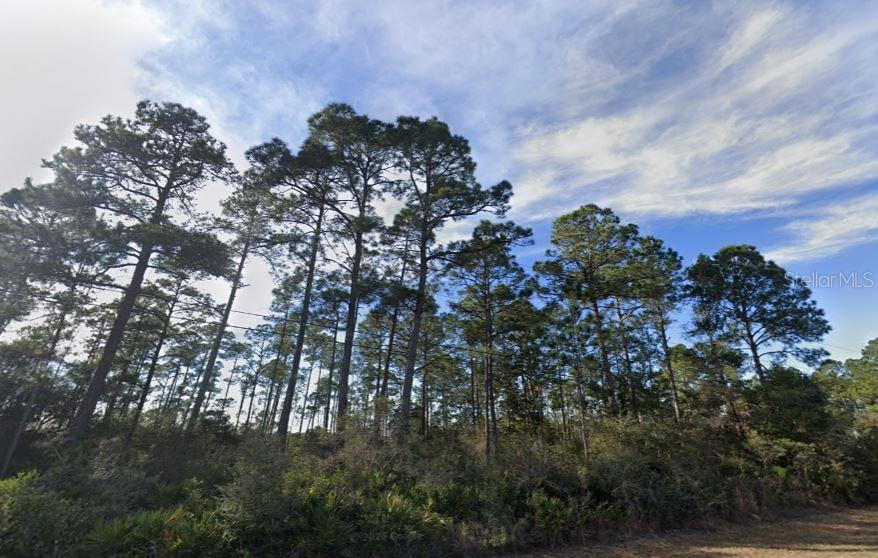 A wooded lot with tall pine trees and dense undergrowth under a cloudy blue sky — 2249 WINFIELD DRIVE, NAVARRE, FL