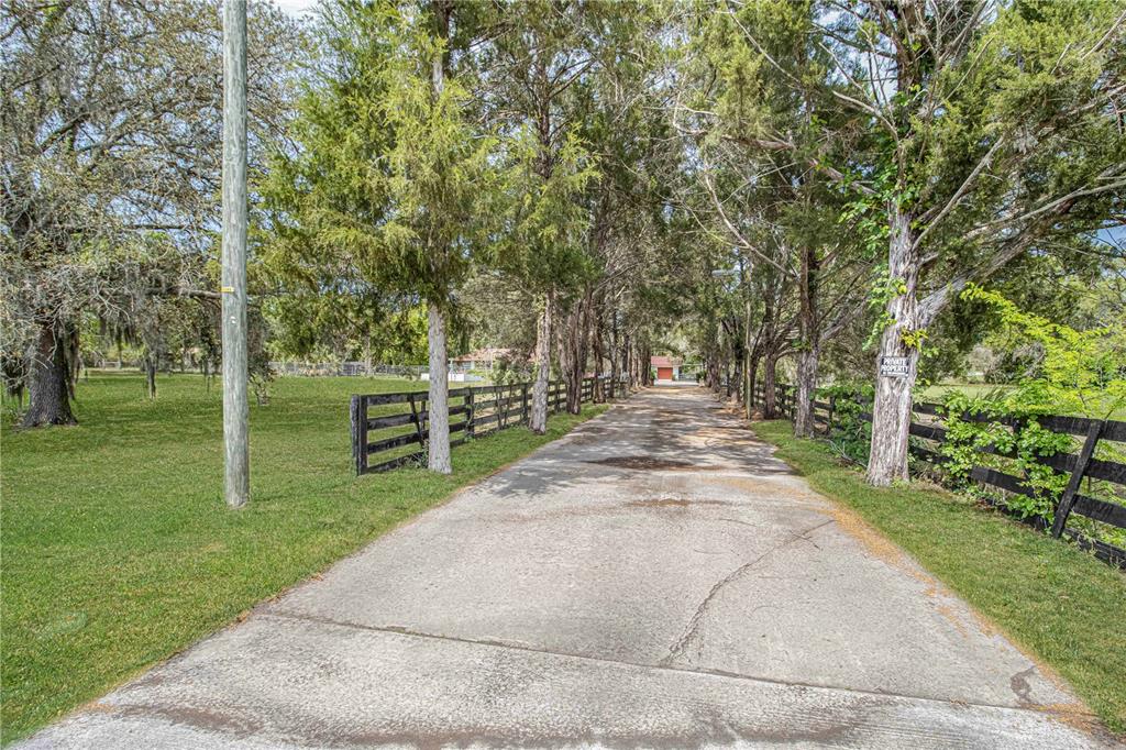 A concrete driveway leads toward a house through a tree-lined path with wooden fencing — 8225 E HIGHWAY 25, BELLEVIEW, FL
