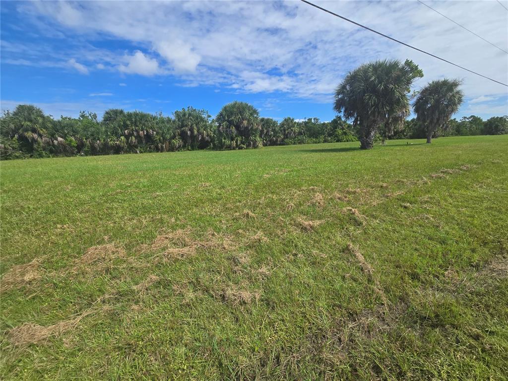 A grassy, open lot features scattered palm trees under a blue sky with clouds — 16963 ACAPULCO ROAD, PUNTA GORDA, FL