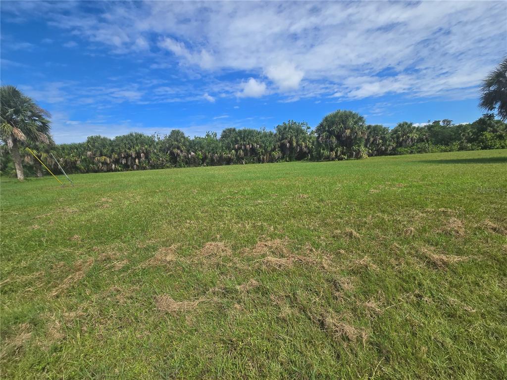 A wide, grassy, undeveloped lot features a line of palm trees under a blue sky — 16963 ACAPULCO ROAD, PUNTA GORDA, FL