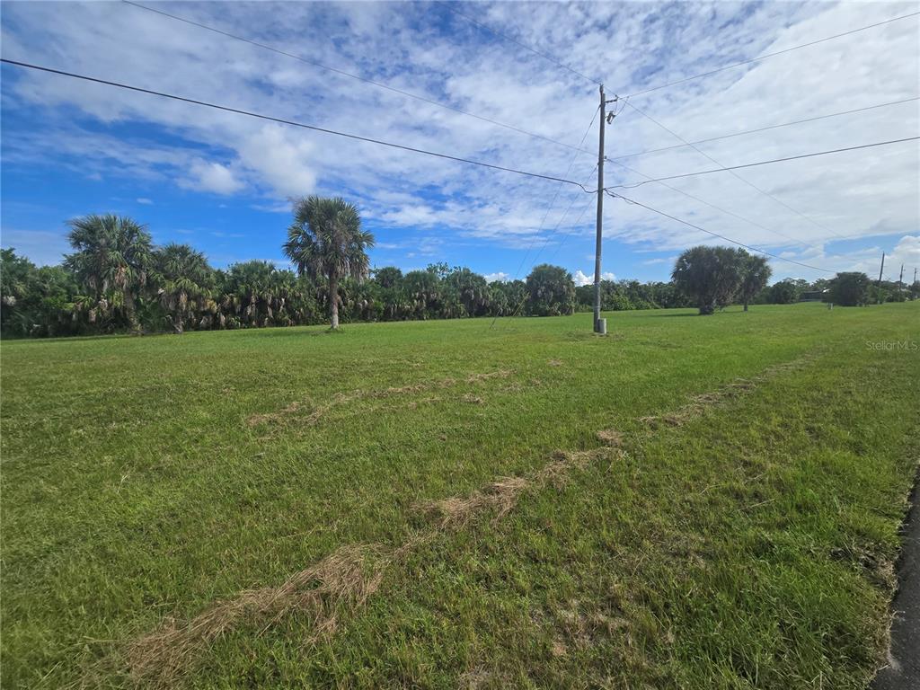 A grassy, undeveloped lot features a utility pole and a line of trees in the background — 16963 ACAPULCO ROAD, PUNTA GORDA, FL