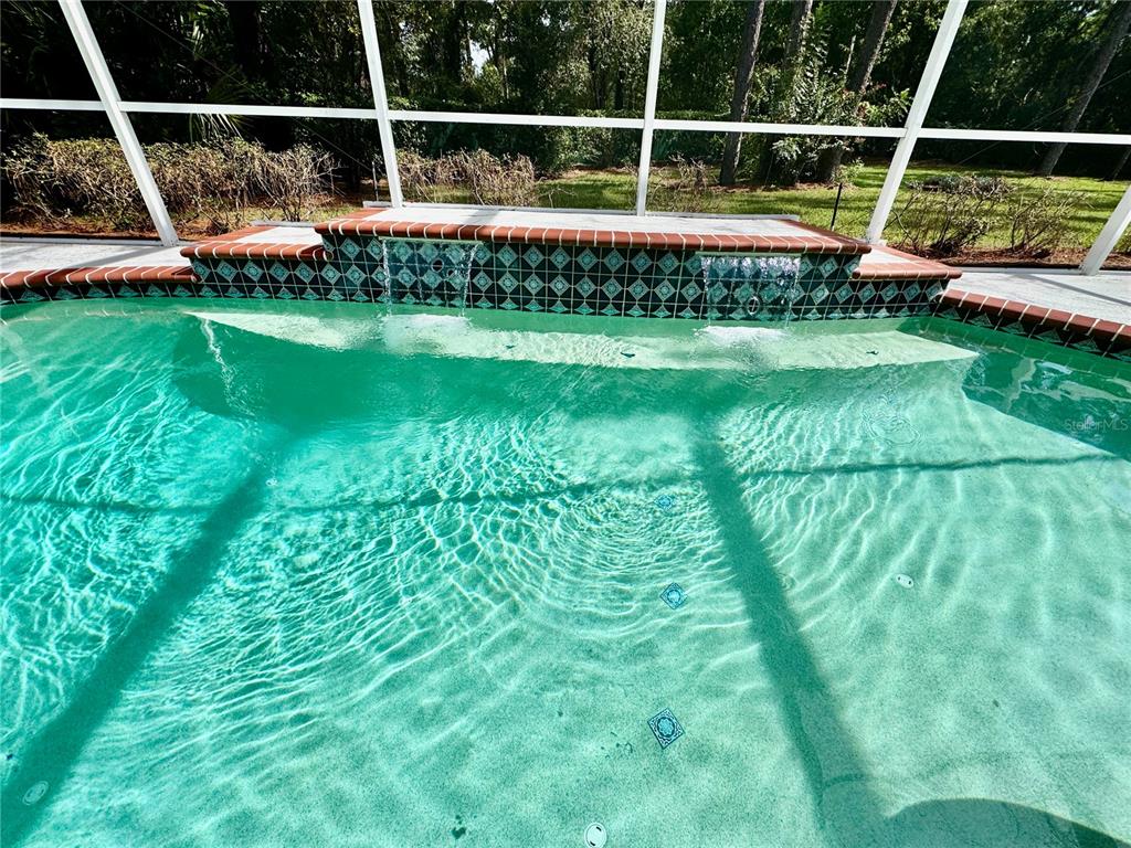 A swimming pool with a tiled spillover feature and a screened-in enclosure — 5688 LEGEND HILLS LANE, SPRING HILL, FL
