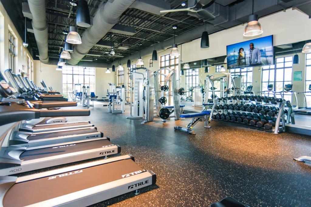 A gym features rows of treadmills, weight machines, a dumbbell rack, and large windows — 1534 CAREY PALM CIRCLE, KISSIMMEE, FL