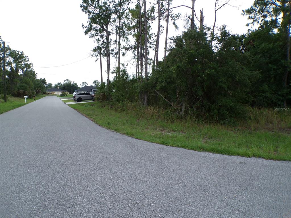 A paved road curves past a wooded lot with a parked car in the distance — CHICKASAW AVENUE, NORTH PORT, FL