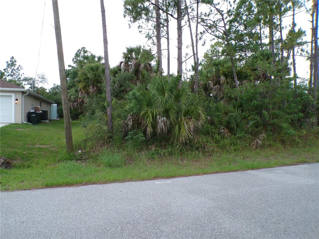 A vacant, wooded lot sits next to a house with a white garage door — CHICKASAW AVENUE, NORTH PORT, FL