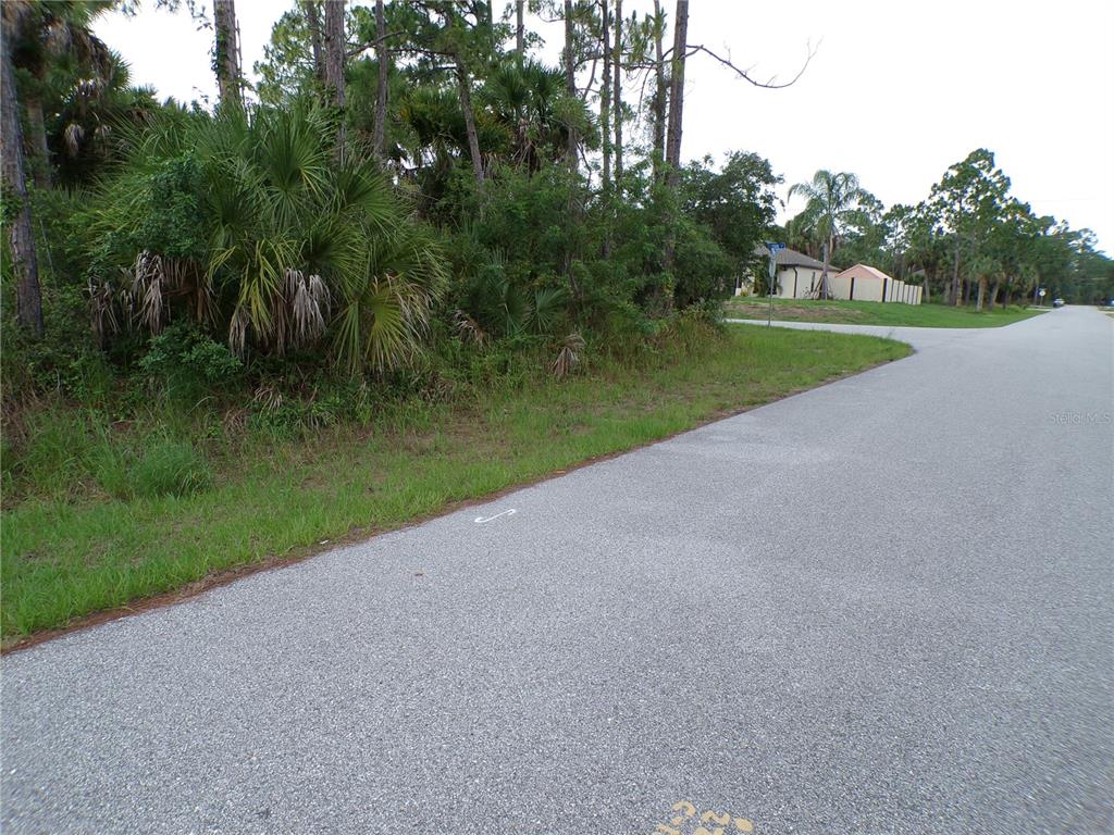 A paved road curves past a wooded lot with palm trees and dense vegetation — CHICKASAW AVENUE, NORTH PORT, FL