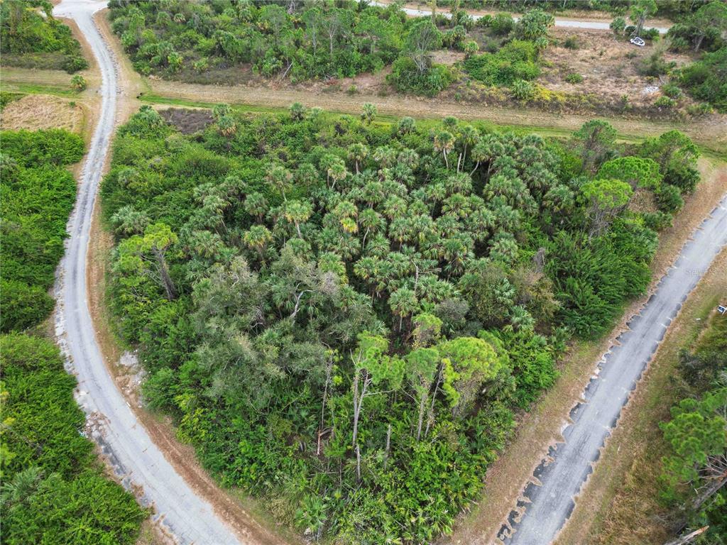 An aerial view shows a triangular, heavily wooded vacant lot bordered by two paved roads — CANYON TERRACE, NORTH PORT, FL