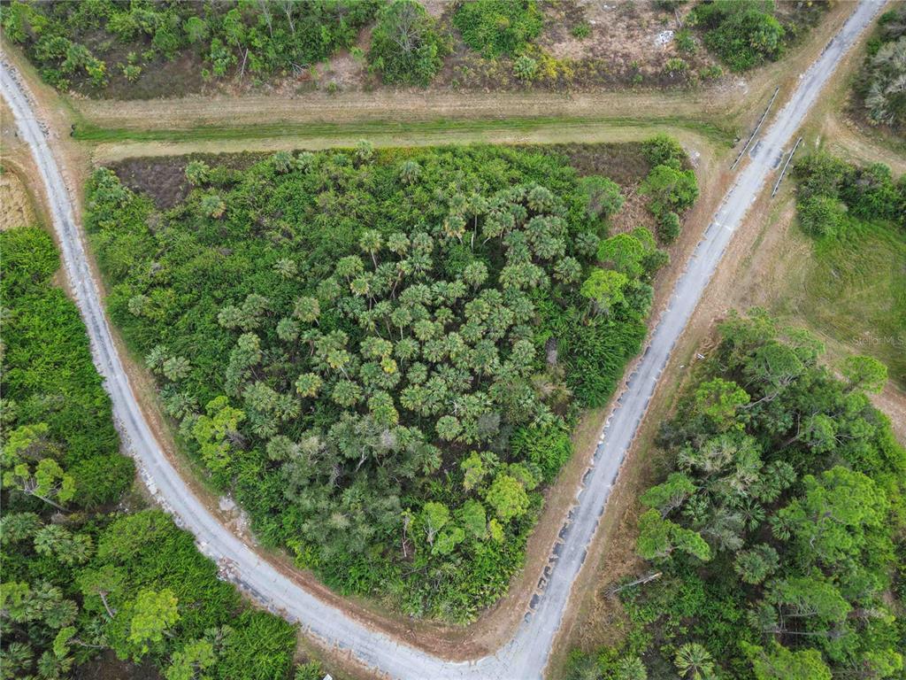 An aerial view shows a triangular, wooded plot of land bordered by two dirt roads — CANYON TERRACE, NORTH PORT, FL
