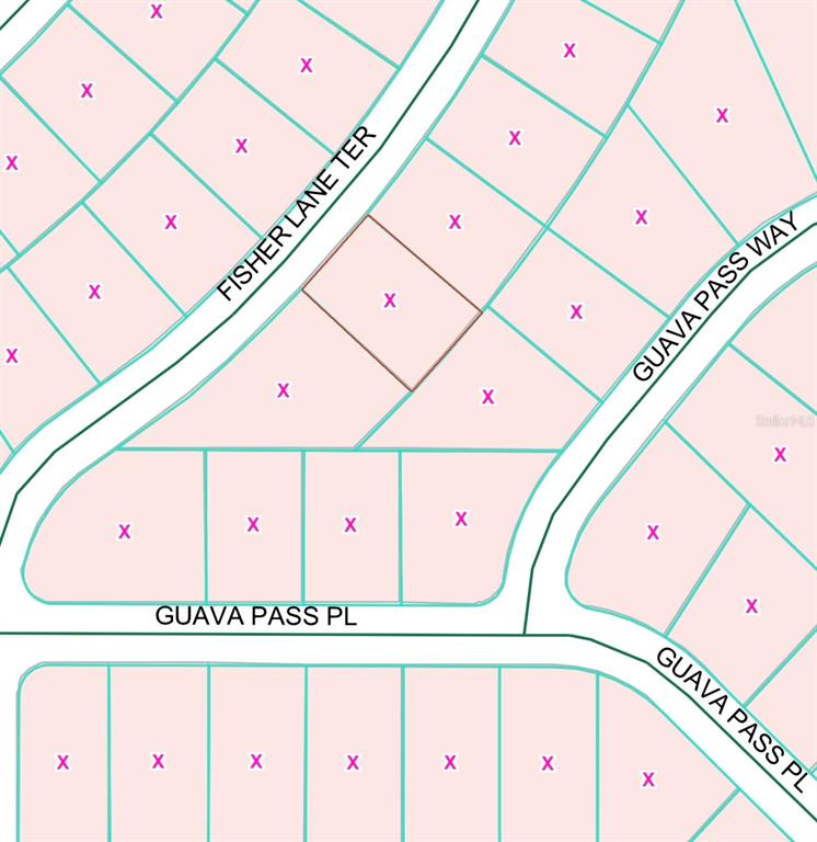 This is a map showing a residential neighborhood with several vacant lots marked with x's — FISHER LANE TERRACE UNIT 6, OCKLAWAHA, FL