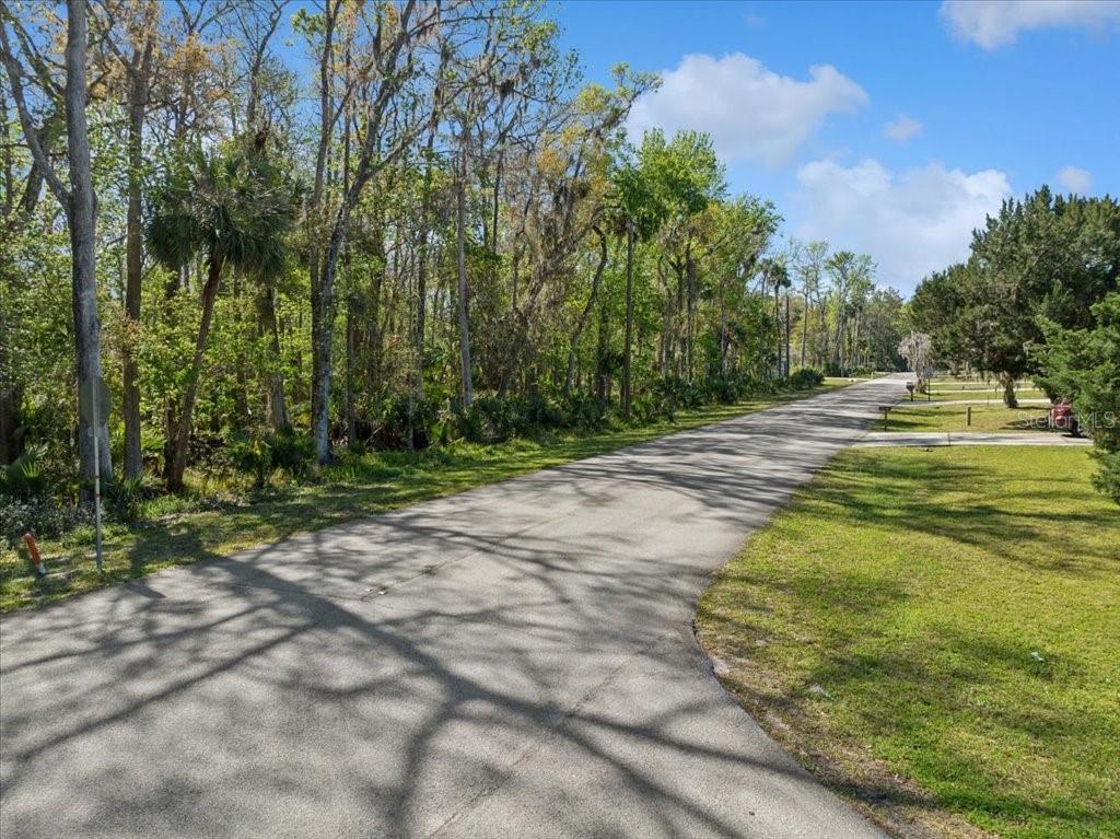 A paved road winds through a wooded area with grassy shoulders under a blue sky — 138 BLARE DRIVE, PALM COAST, FL