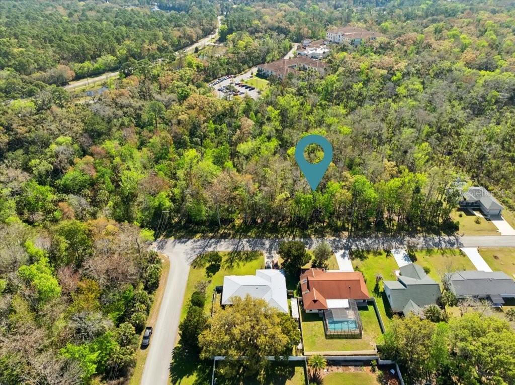 An aerial view shows a wooded lot marked with a pin near a residential street — 138 BLARE DRIVE, PALM COAST, FL