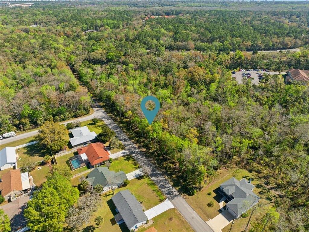 An aerial view shows a vacant wooded lot marked with a pin in a residential neighborhood — 138 BLARE DRIVE, PALM COAST, FL