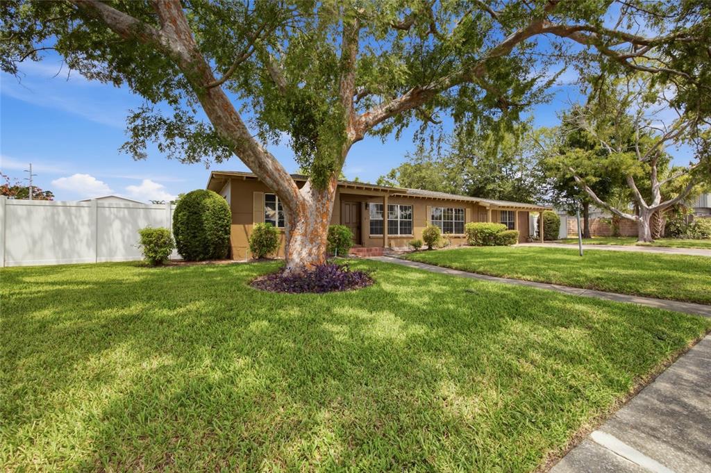 A single-story house with a brown exterior sits behind a large tree and green lawn — 808 N MACDILL AVENUE, TAMPA, FL