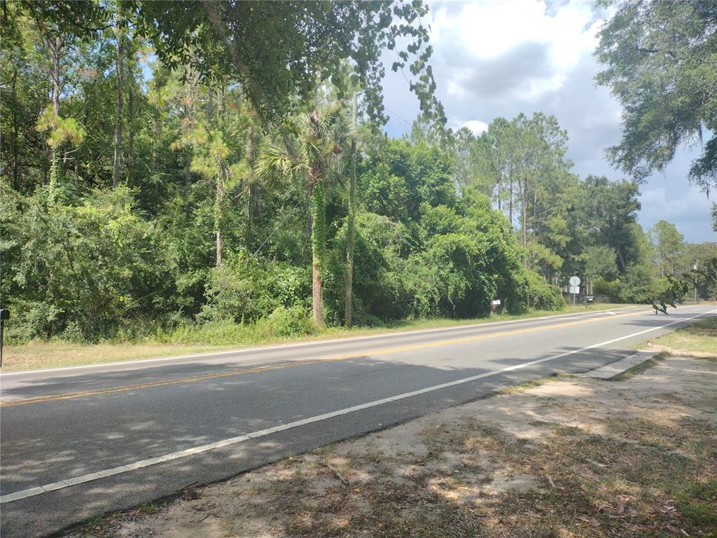 A paved road runs in front of a densely wooded, undeveloped lot — SE 80TH STREET STREET SE, OCALA, FL