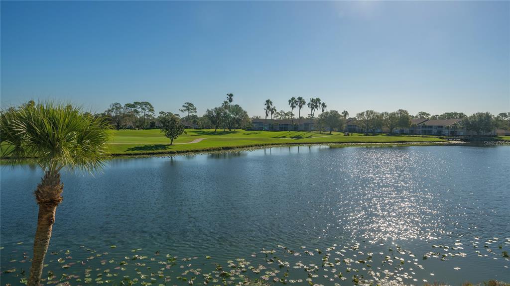 A view of a pond with lily pads in the foreground and a golf course beyond — 5241 MAHOGANY RUN AVENUE UNIT 425, SARASOTA, FL