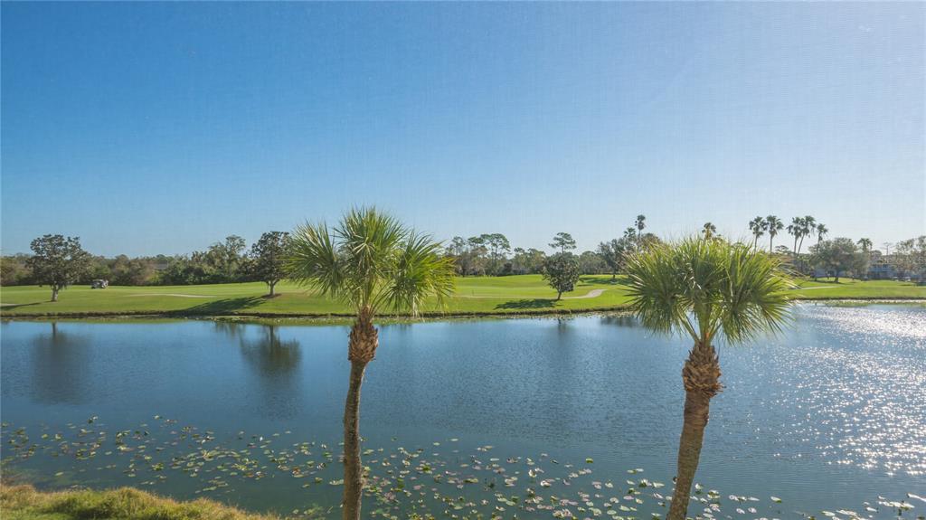 A view of a pond with lily pads and palm trees overlooking a golf course — 5241 MAHOGANY RUN AVENUE UNIT 425, SARASOTA, FL