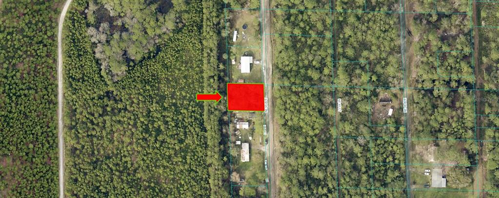 NE 65TH AVENUE, CITRA, FL — photo 2 of 3