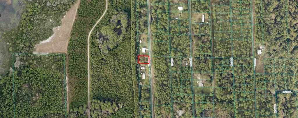 NE 65TH AVENUE, CITRA, FL — photo 3 of 3