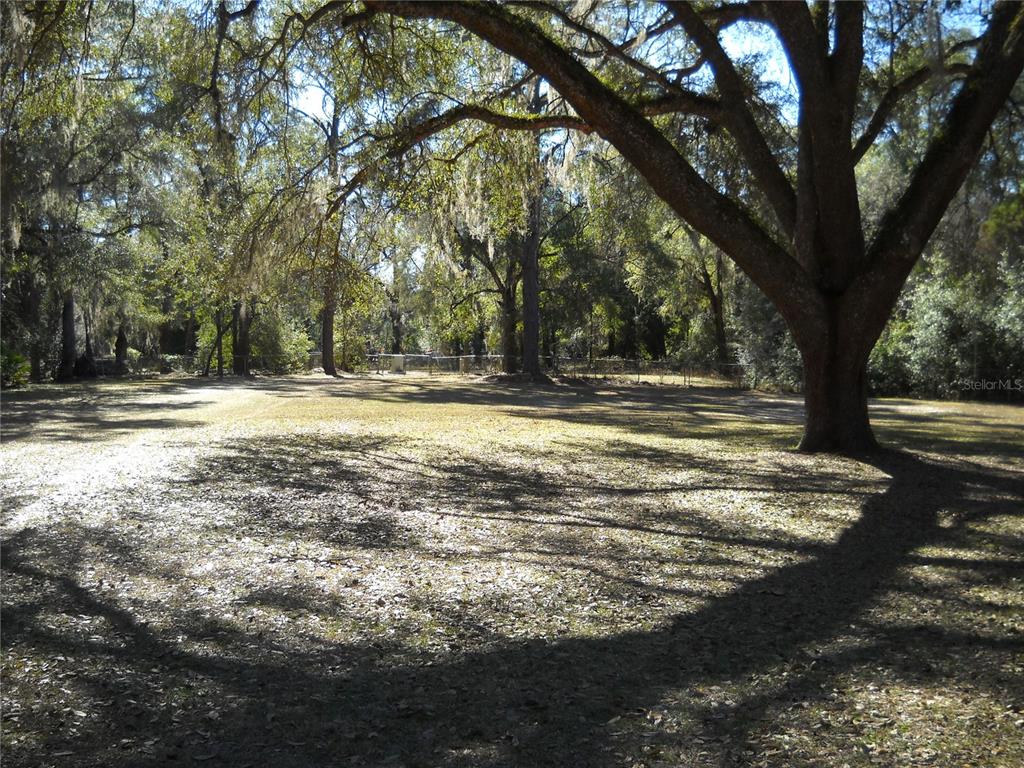 A large, grassy yard features mature oak trees with Spanish moss under a sunny sky — 4881 NW 69TH STREET, OCALA, FL