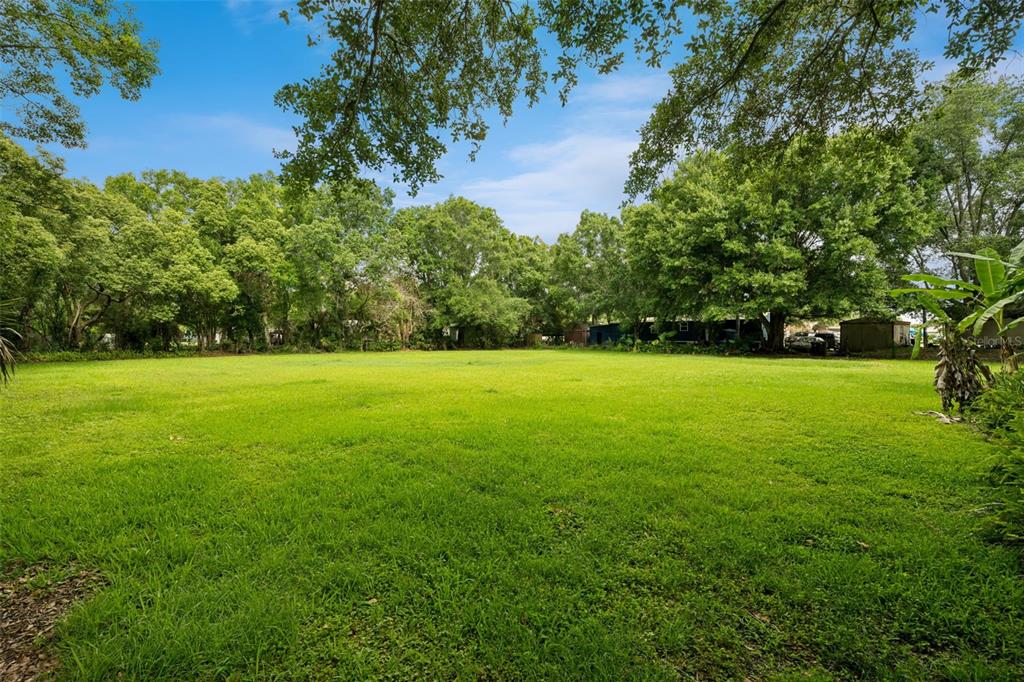 A large, flat, grassy lot is surrounded by mature trees under a blue sky — 420 JACKS MEMORIAL RD, ST CLOUD, FL
