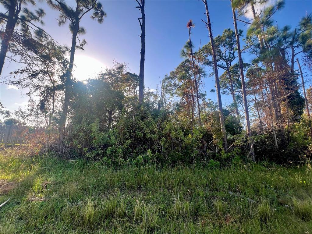 A grassy lot features a dense thicket of trees and shrubs under a bright sky — 5449 BURGNER STREET, PORT CHARLOTTE, FL