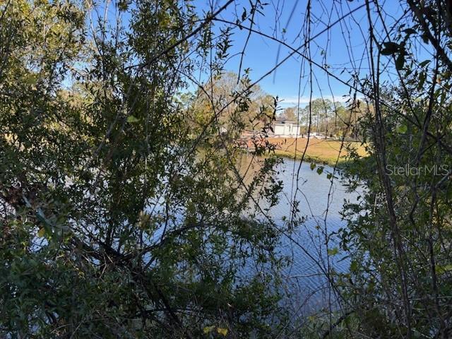 A view of a pond framed by trees with a house visible in the distance — 13636 SULKY DRIVE, PUNTA GORDA, FL