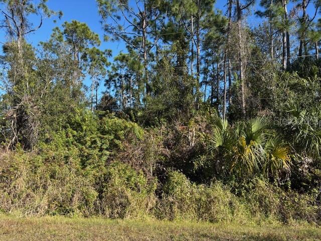 A dense, wooded lot with tall trees and thick undergrowth under a clear blue sky — 13636 SULKY DRIVE, PUNTA GORDA, FL