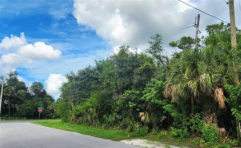 A paved road runs alongside a dense, overgrown wooded lot under a cloudy blue sky — 10 HOFFER STREET, PORT CHARLOTTE, FL