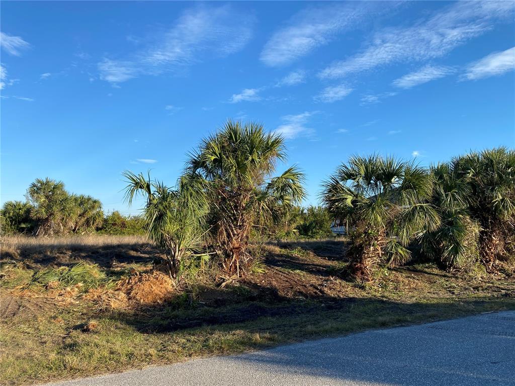 A vacant, grassy lot features several palm trees under a bright blue sky — 10468 HARLINGEN STREET, PORT CHARLOTTE, FL