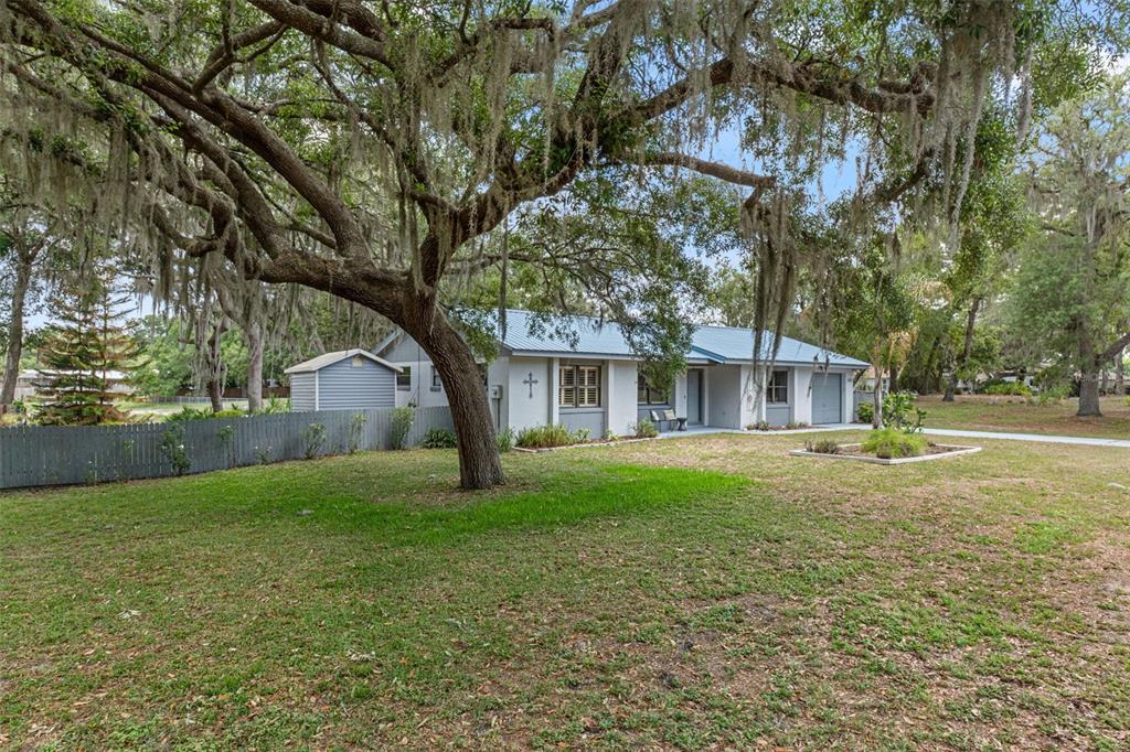A single-story house with a blue metal roof sits behind a large mossy oak tree — 2481 S SUMMERWOOD POINT, INVERNESS, FL
