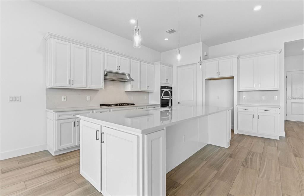 16412 RUSTIC SKY DRIVE, SPRING HILL, FL — photo 3 of 30