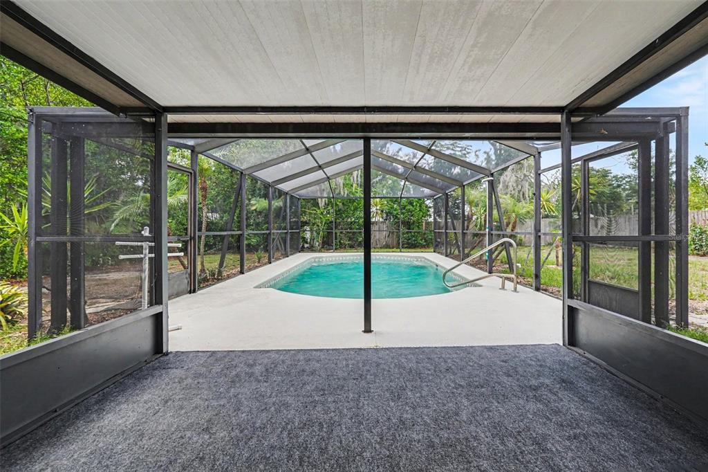 A screened-in patio with gray carpeting overlooks a rectangular swimming pool in a backyard — 2022 LANCE COURT, DOVER, FL