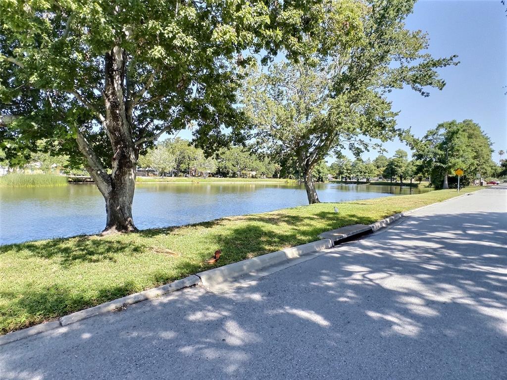 A paved road runs alongside a grassy bank with trees bordering a calm lake — 1431 PALOMA LANE, DUNEDIN, FL