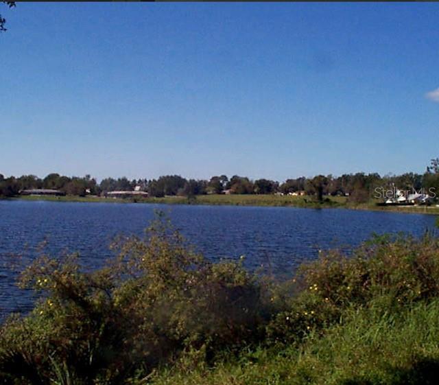 GUERRANT STREET, UMATILLA, FL — photo 2 of 7