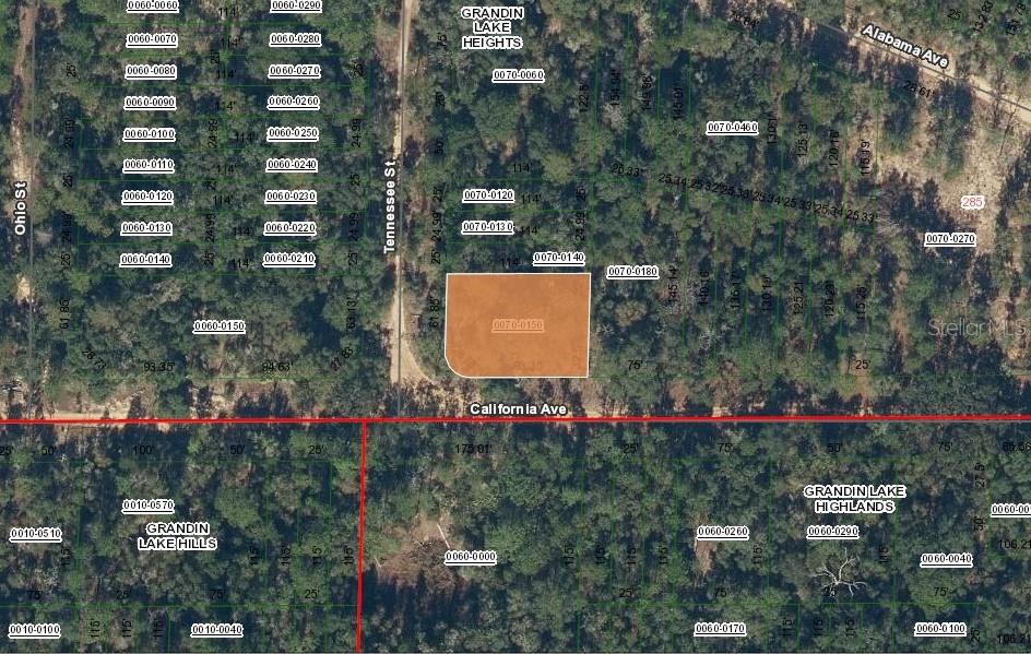 This is a map showing a highlighted land parcel and surrounding property lines — 304 CALIFORNIA AVENUE, INTERLACHEN, FL