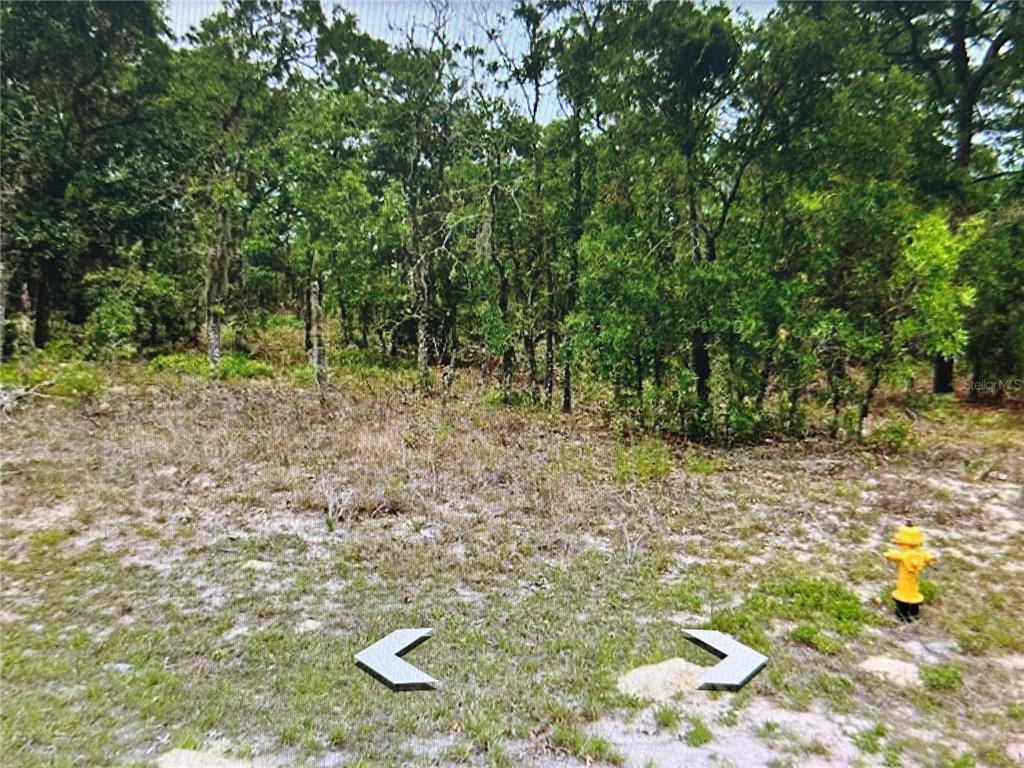 A vacant, wooded lot features a yellow fire hydrant in the foreground — 2466 W SWANSON DRIVE, CITRUS SPRINGS, FL