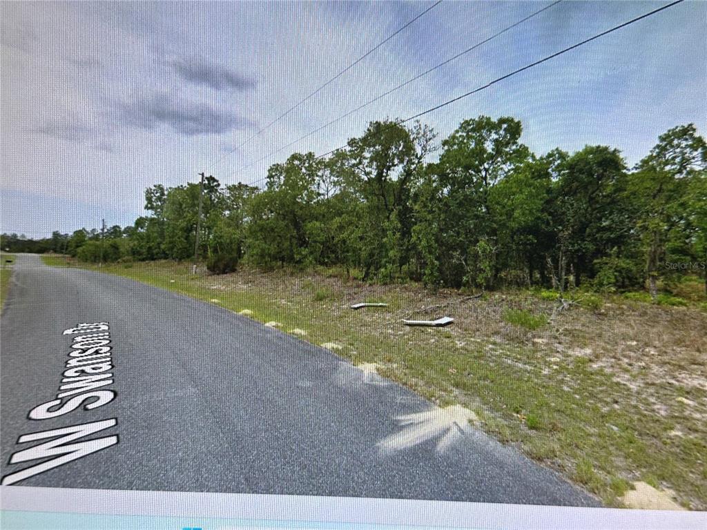 A paved road runs alongside a vacant, wooded lot under a cloudy sky — 2466 W SWANSON DRIVE, CITRUS SPRINGS, FL
