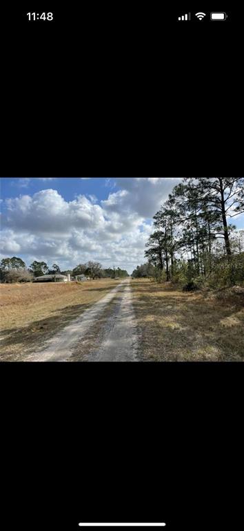 A dirt road leads through a grassy field toward trees and a distant house — 1011 TROPICANA DRIVE, INDIAN LAKE ESTATES, FL