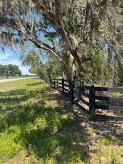 A black wooden fence runs along a dirt road beneath large trees with Spanish moss — NE HWY 353, OLD TOWN, FL