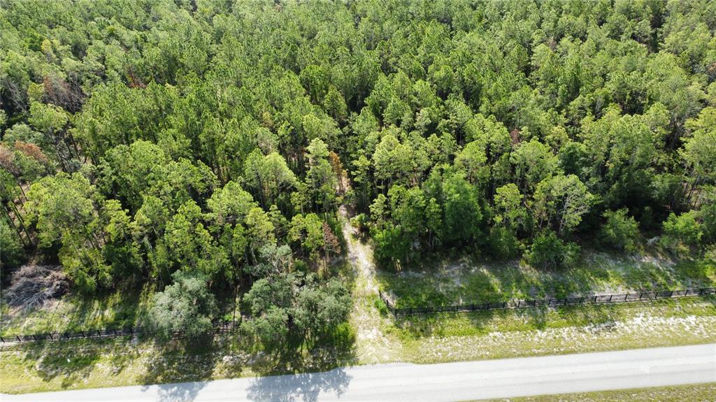 An aerial view shows a wooded lot with a dirt path behind a black fence — NE HWY 353, OLD TOWN, FL