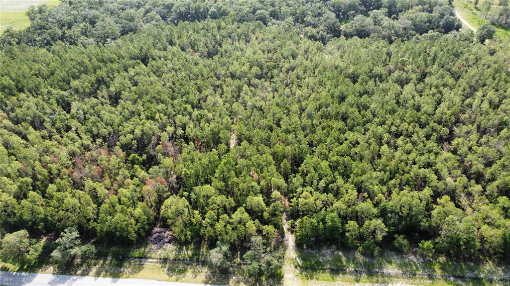 An aerial view shows a dense, wooded lot bordering a paved road — NE HWY 353, OLD TOWN, FL