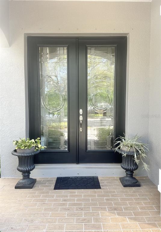 A black double front door with glass inserts sits between two black urn planters — 11107 GREEN PARK CIRCLE, TAMPA, FL