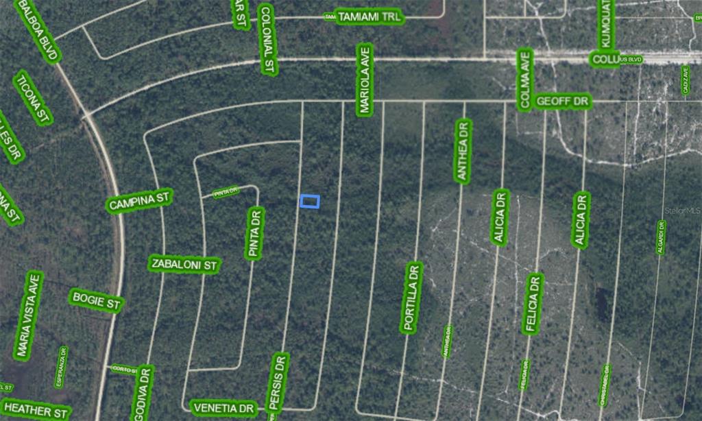This is a satellite map showing a highlighted rectangular plot of land in a residential area — 6644 PERSIS DRIVE, SEBRING, FL