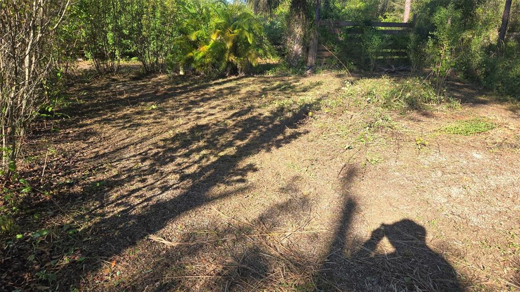 A cleared, grassy lot features scattered debris, surrounding trees, and a wooden fence in back — 1231 RAMUS STREET E, LEHIGH ACRES, FL