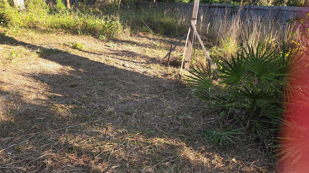 A view of a grassy, partially cleared backyard lot with a small palm tree — 1231 RAMUS STREET E, LEHIGH ACRES, FL