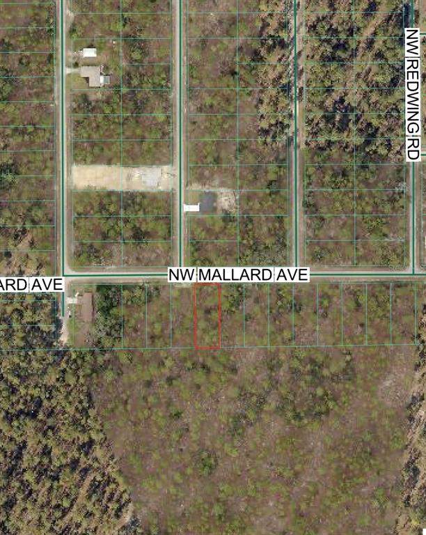 NW MALLARD AVENUE