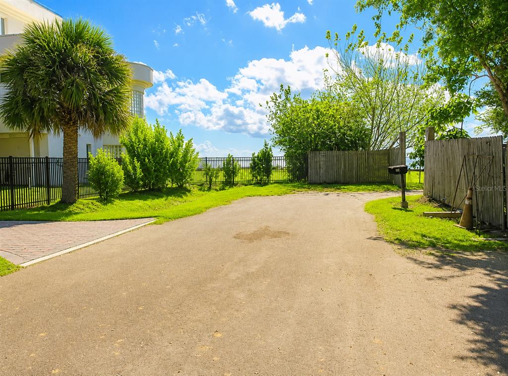 An asphalt driveway leads toward a fenced yard with a palm tree and greenery — 7416 SEAGULL WAY, TAMPA, FL